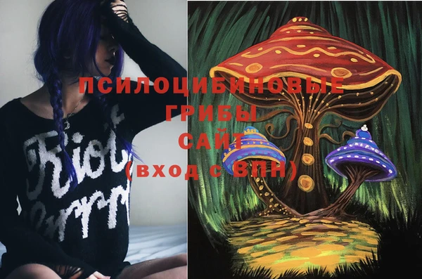 мдпв Елабуга