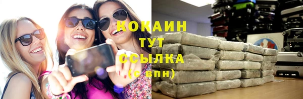 мдпв Елабуга