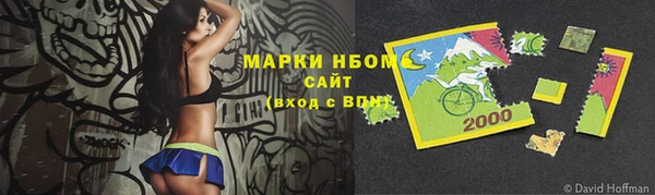 ALPHA PVP Ельня