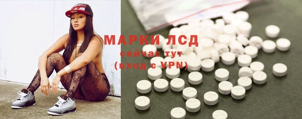 мдпв Елабуга