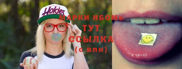 ALPHA PVP Ельня