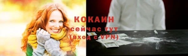 ALPHA PVP Ельня