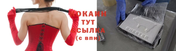 мдпв Елабуга