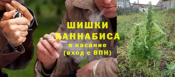 мдпв Елизово