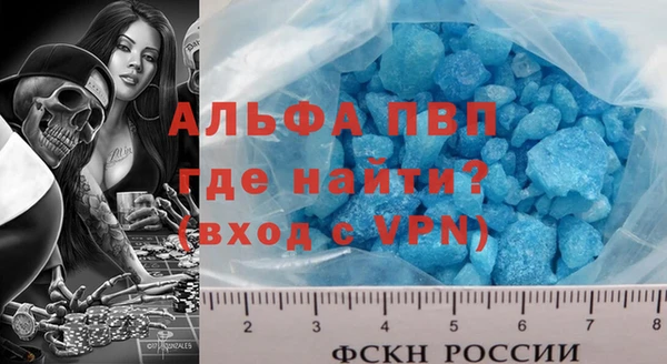 мдпв Елабуга