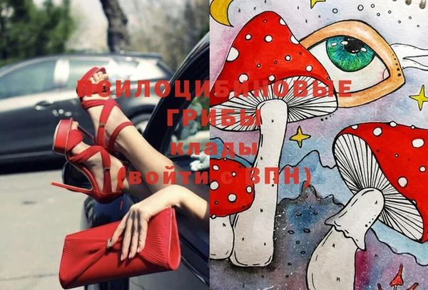 мдпв Елабуга