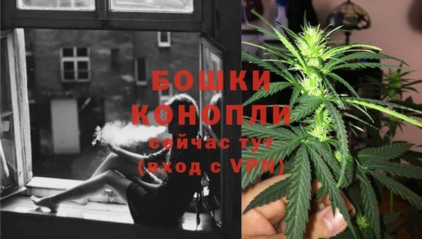 мдпв Елизово