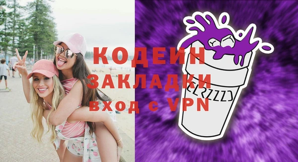 мдпв Елизово