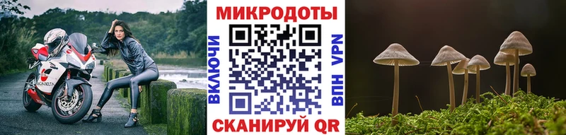 Псилоцибиновые грибы Magic Shrooms  Сочи 